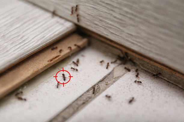 Pest Control Cost in Estell Manor, NJ