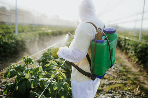 Wasp Removal Services in Estell Manor, NJ